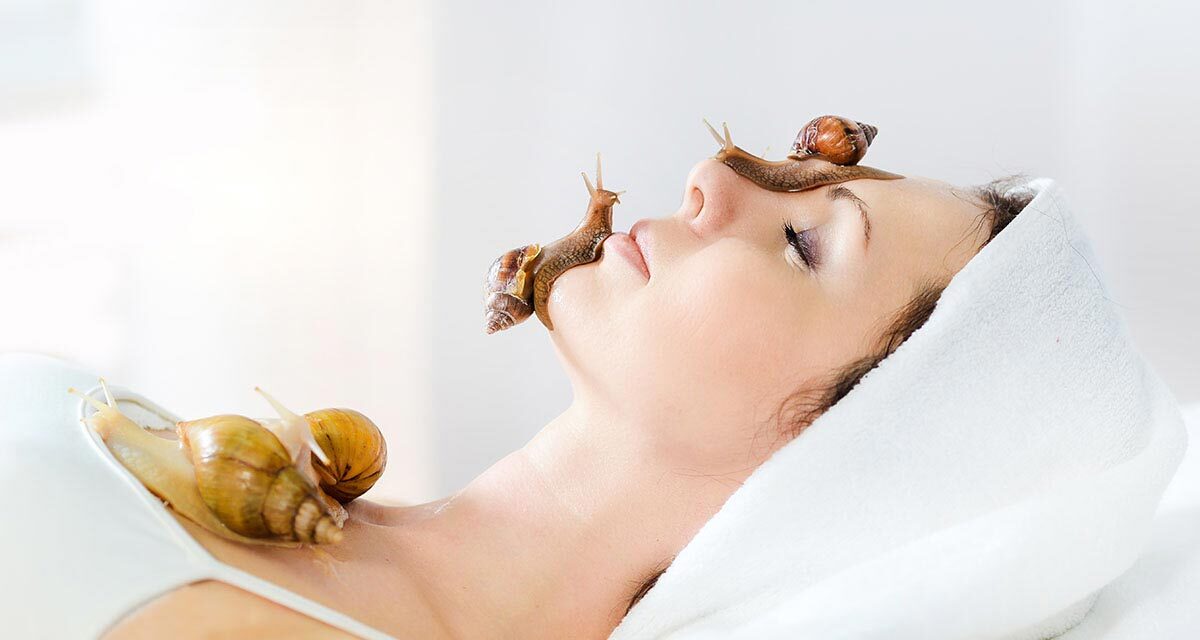 Snailed It! Skincare With A Side Of Snails Please