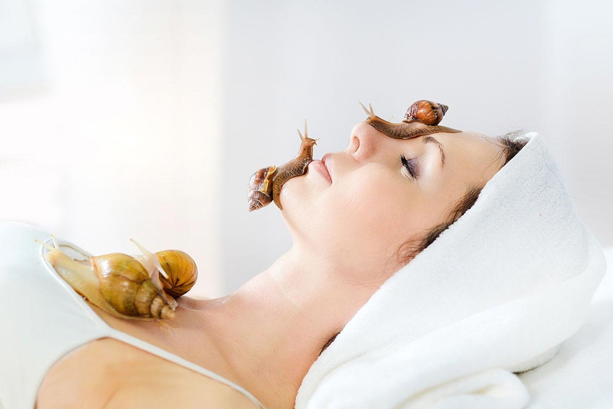 snail cream k-beauty
