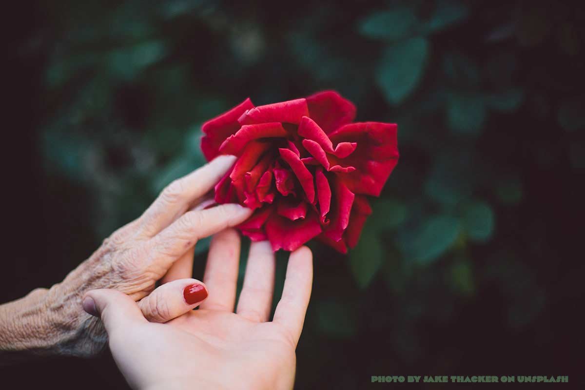 Hormone Replacement Therapy