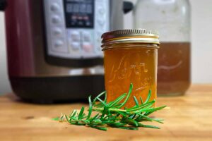 instant pot bone broth